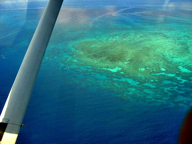 A 431 Cairns - La barriere de corail.jpg